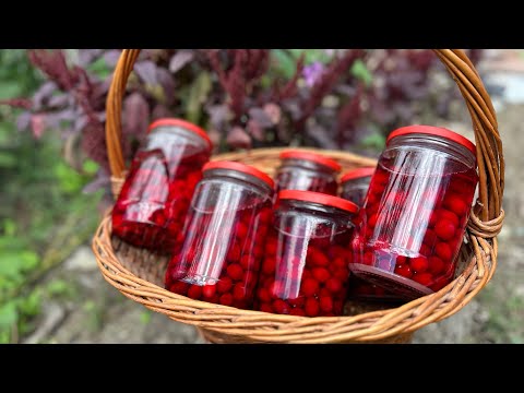 Видео: Компот от дренки - şifalı kızılcık kompostosu - medicinal dogwood juice