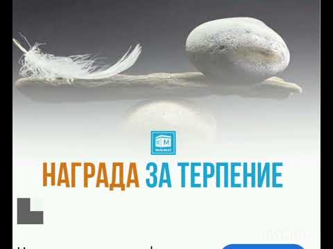 Видео: Хьарамчух собаре хиларна йал