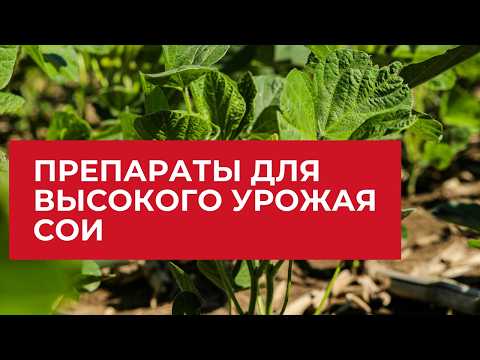 Видео: Повышаем урожайность сои. Что вносить летом | Агроном | Сергий Ризанов