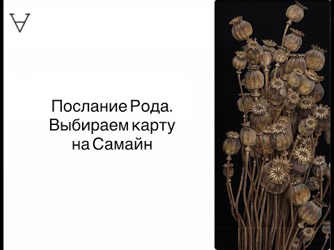 Видео: Послание Рода. Выбираем карту на Самайн | Станислав Решетников | Инсайт Портал