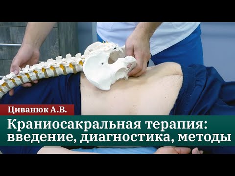 Видео: Краниосакральная терапия: введение, диагностика и методы коррекции. Циванюк А.В.