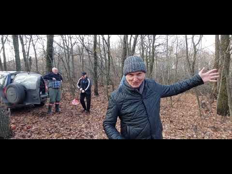 Видео: Памятник природы Попова Шишка Вольский район Саратовской области 