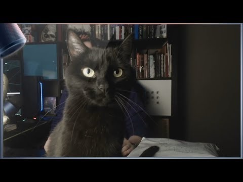 Видео: ПОДБОРКА ЛУЧШЕГО #1! ● BlackSilverUFA [НАРЕЗКА]