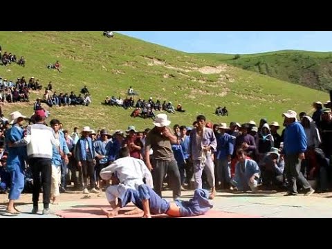 Видео: Гуштини одинабои 2021 кисм 3