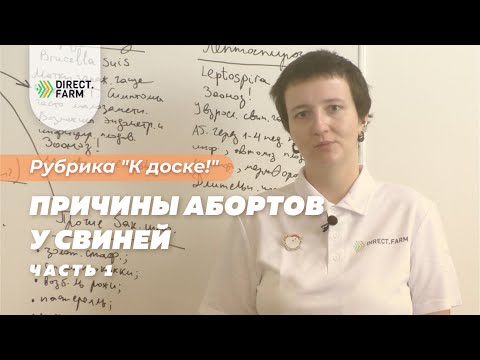 Видео: Инфекционные причины абортов у свиноматок
