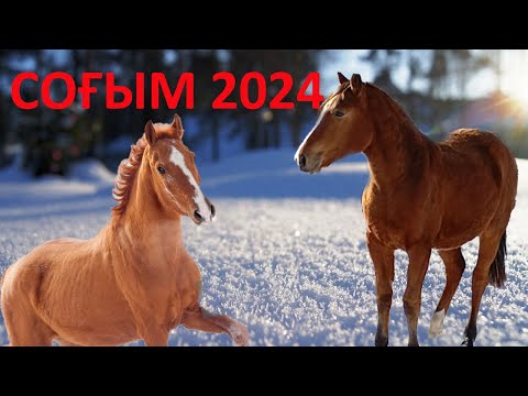 Видео: СОҒЫМ 2025.Етті жіліктеу,қазы айнадыру.БАЛҒЫН ЖЫЛҚЫ ЕТІНЕН ҚУЫРДАҚ ЖАСАЙМЫЗ.Куырдак из свежего мясо.