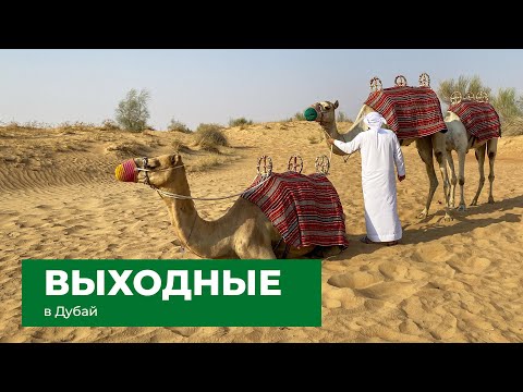 Видео: Выходные в Дубай