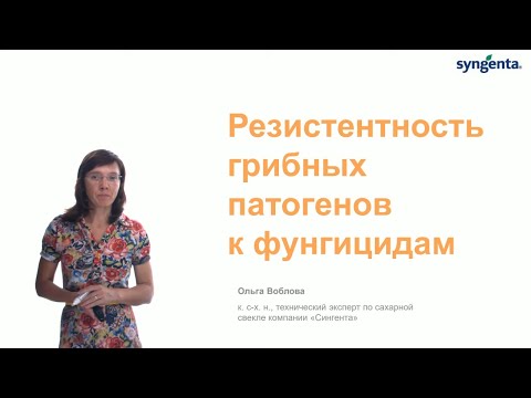 Видео: Химические классы фунгицидов. Риски возникновения резистентности