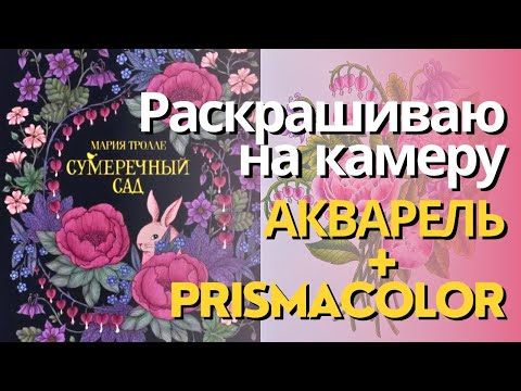 Видео: Раскрашиваю Сумеречный сад | Подложка акварелью, доработка призмами