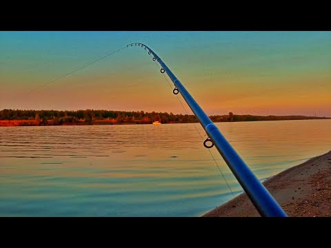 Видео: ФИДЕР или ДОНКИ ЧТО ЛУЧШЕ. РЫБАЛКА на ВОЛГЕ. ЛОВЛЮ ЛЕЩА. Девушка на рыбалке.