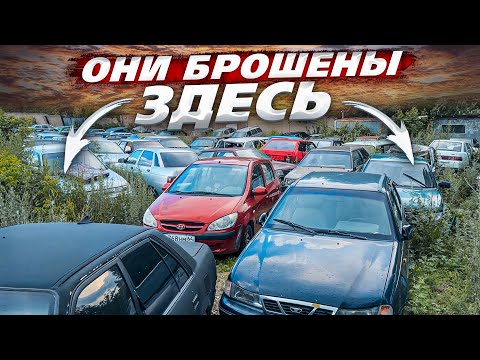 Видео: Путь к M5. Бросили 160 Автомобилей в Лесу. Купил Приора 2 ЛЮКС в Разбор