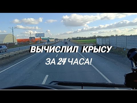 Видео: ВЫЧИСЛИЛ КРЫСУ