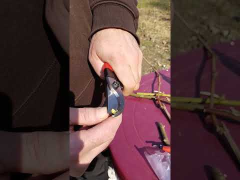 Видео: Порівняння секаторів Okatsune 103/ Tenju 200