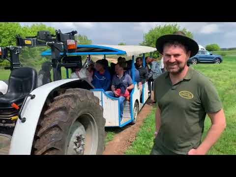 Видео: На лов за трюфели