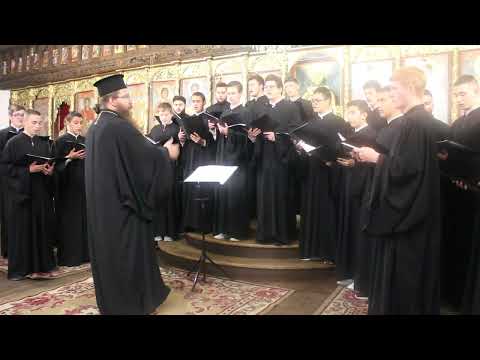 Видео: 135 псалом - напев от манастира Симонопетра, 135 psalm, Orthodox chant MVI 9573