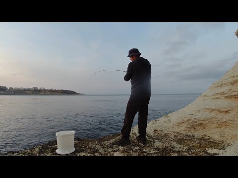 Видео: Риболов на чернокоп - 04.11.22