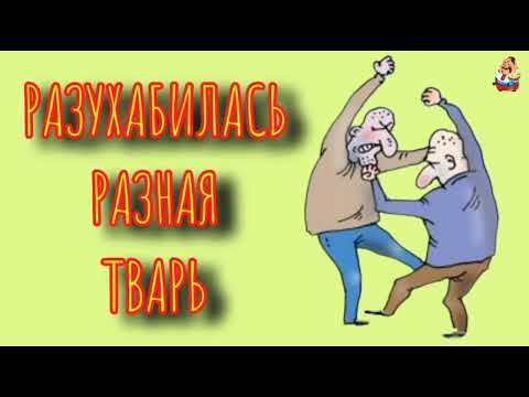 Видео: РАЗУХАБИЛАСЬ РАЗНАЯ ТВАРЬ (1:04)