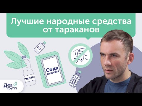 Видео: Лучшие народные средства от тараканов | Как уничтожить тараканов | Советы от СЭС