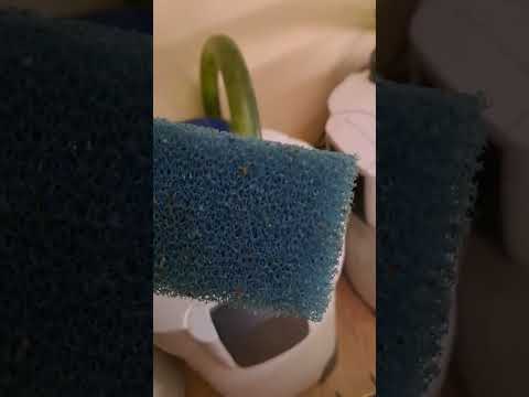 Видео: Отговарям на въпроси