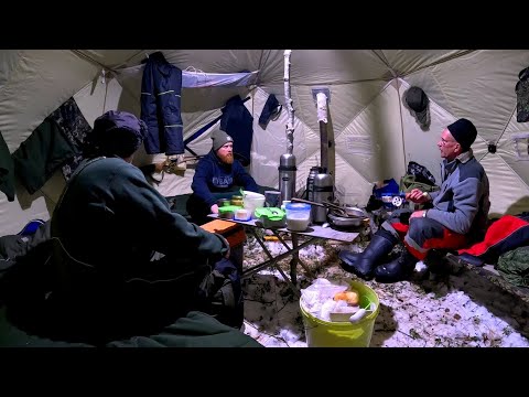 Видео: Зимняя рыбалка.Живём в палатке на берегу озера. Пойман трофейный Окунь🔥🔥🔥