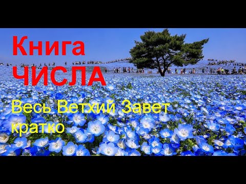 Видео: ЧИСЛА. Весь Ветхий Завет кратко