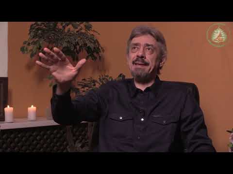 Видео: Влад Аскинази. Основы Буддизма  1  Сатипатхана   Правильная Осознанность.   Студия Бодхи