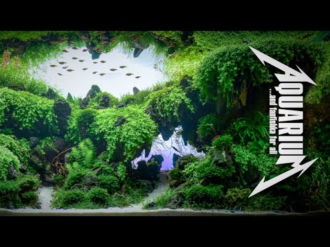 Видео: Премудрости акваскейпинга и Мост Тролля