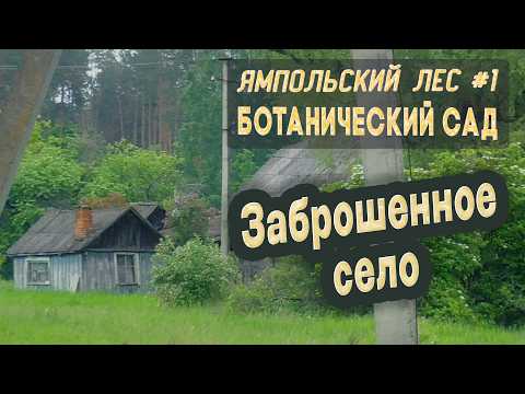 Видео: ⛺ Ямпольский лес #1. Большой поход! Ботанический сад. Заброшенное село Неплюево