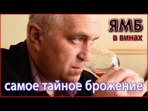 Видео: Открываю тайны ЯБЛОЧНО МОЛОЧНОГО БРОЖЕНИЯ в вине.