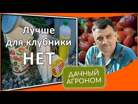 Видео: Клубника: С ЭТИМИ средствами вы ЗАБУДЕТЕ о болезнях и вредителях