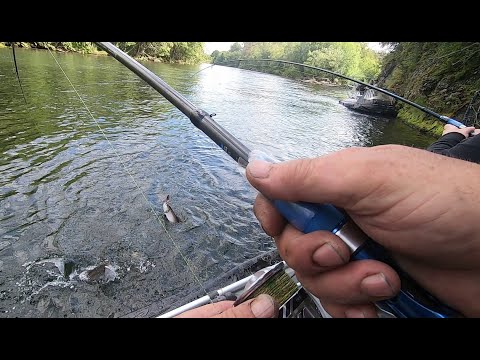 Видео: Камчатка! Рыбалка в новых местах! часть 1