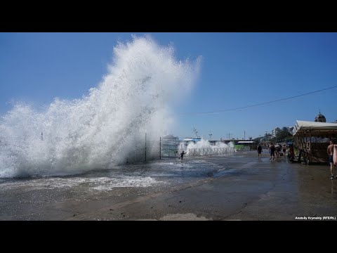 Видео: Молчание пчёл