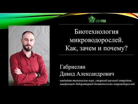 Видео: «Биотехнология микроводорослей. Как, зачем и почему?» (Давид Александрович Габриелян)