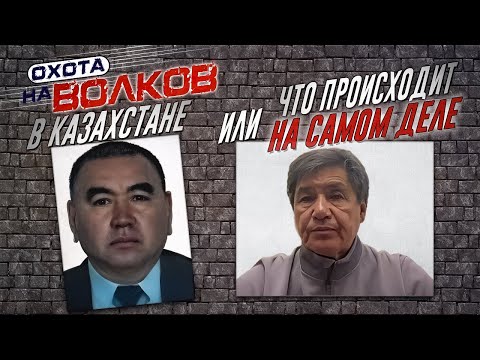 Видео: охота на ВОЛКОВ в казахстане,или что происходит на самом деле!