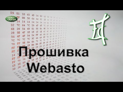 Видео: Как самостоятельно  прошить webasto без специалистов.