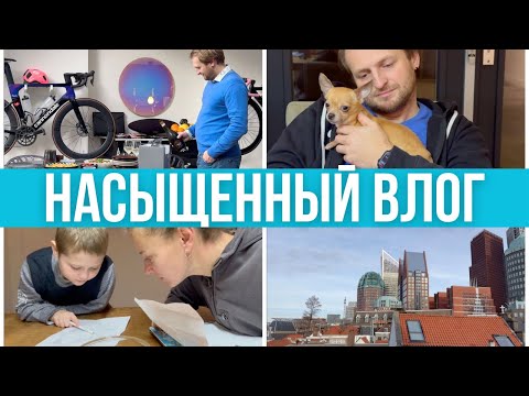 Видео: Быт, еда, работа. "Офигеть не встать" квартира. Временное облегчение #pixelsoflife