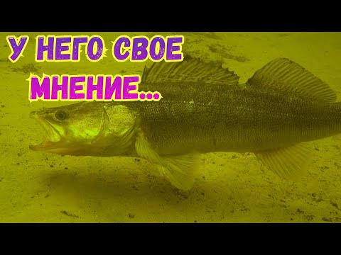 Видео: СУДАК ПОЗДНЕЙ ОСЕНЬЮ,,,НЕ ВСЕГДА ВСЕ ПО ПЛАНУ,,,