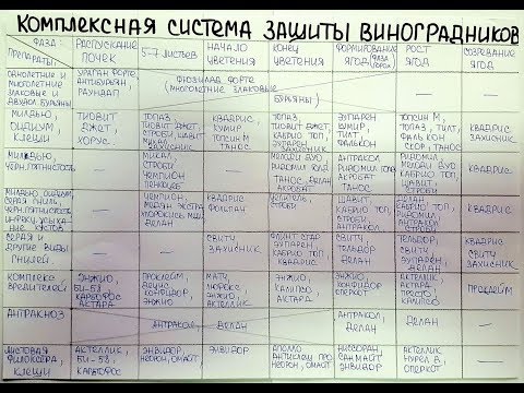 Видео: Схема обработки виноградных кустов от болезней, от Агромагазина Фазенда