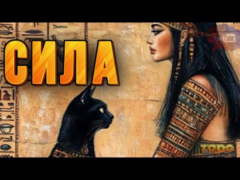 Видео: ‼️😱ОБАЛДЕТЬ🔥ВЫ СИЛЬНЕЕ🔥🔥ВАШ ВЫХОД❤️‍🔥❤️‍🔥⚜️