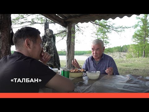 Видео: «Талбан» биэриигэ: Сылык (19.06.23)