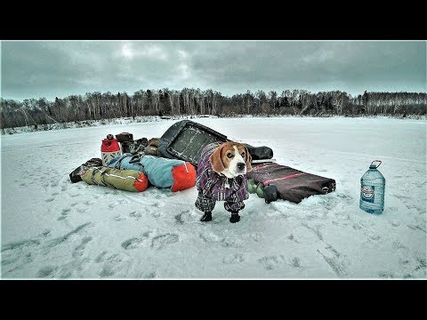 Видео: Рыбалка Ночная-Ужасная! Солянка Мясная Прекрасная. Январь 2019