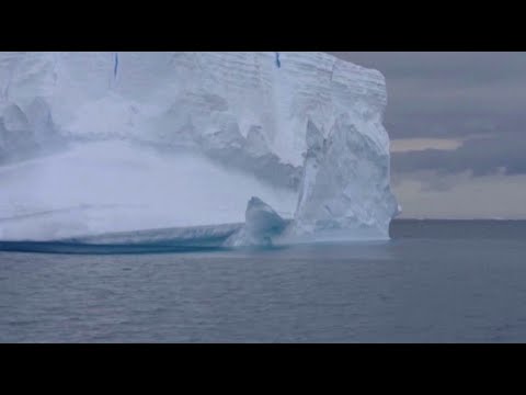 Видео: Самый большой айсберг в мире начал движение