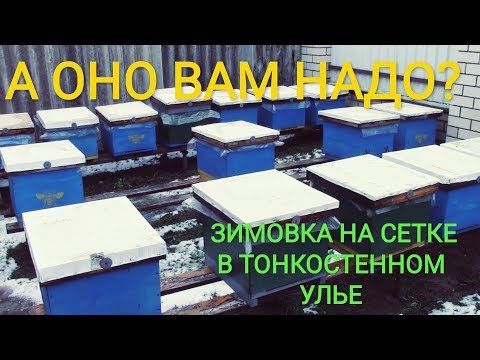 Видео: ВОТ И ДУМАЙ,стоит ли зимовать на сетке со стенкой 22мм?!