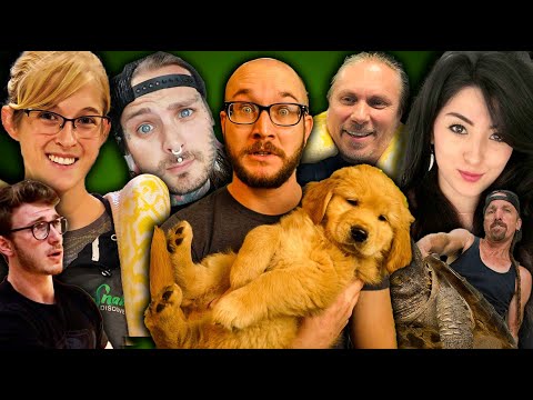 Видео: ЛУЧШИЕ и ХУДШИЕ YouTube-блогеры, посвященные рептилиям, и их влияние на хобби, связанное с рептил...