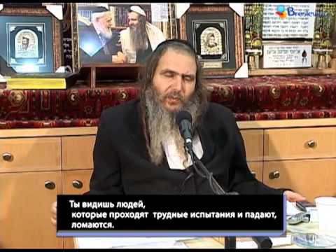 Видео: Всегда в радости! -- Рав Шалом Аруш