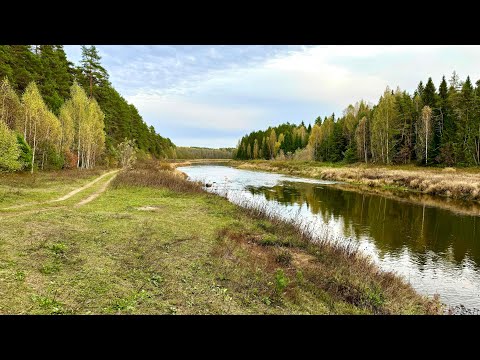 Видео: Строю сарай на берегу лесной реки. Лодка.