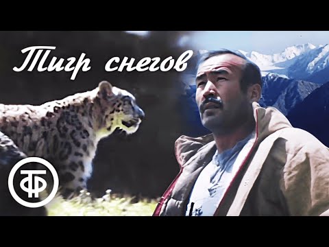 Видео: Тигр снегов. Художественный фильм (1987)