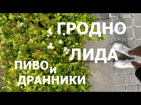 Видео: Как мы Беларусь изучали / Лидский замок, Экоферма, Гродно