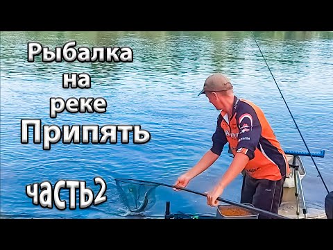 Видео: Рыбалка в Беларуси. Рыбалка на реке Припять. Река Припять в районе Микашевич.