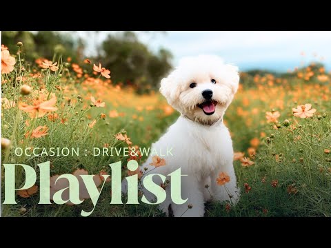 Видео: 𝗽𝗹𝗮𝘆𝗹𝗶𝘀𝘁 [cafe] Заряд на четверг 🎧 POP·R&B для работы, дороги и отдыха 🍁 TPOVibe🎶